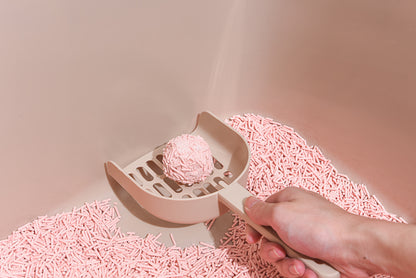 Using a pink scoop to collect pink cat litter from a pink litter box on a beige background