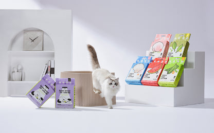 Cat standing next to a display of pet litter packages on a white background