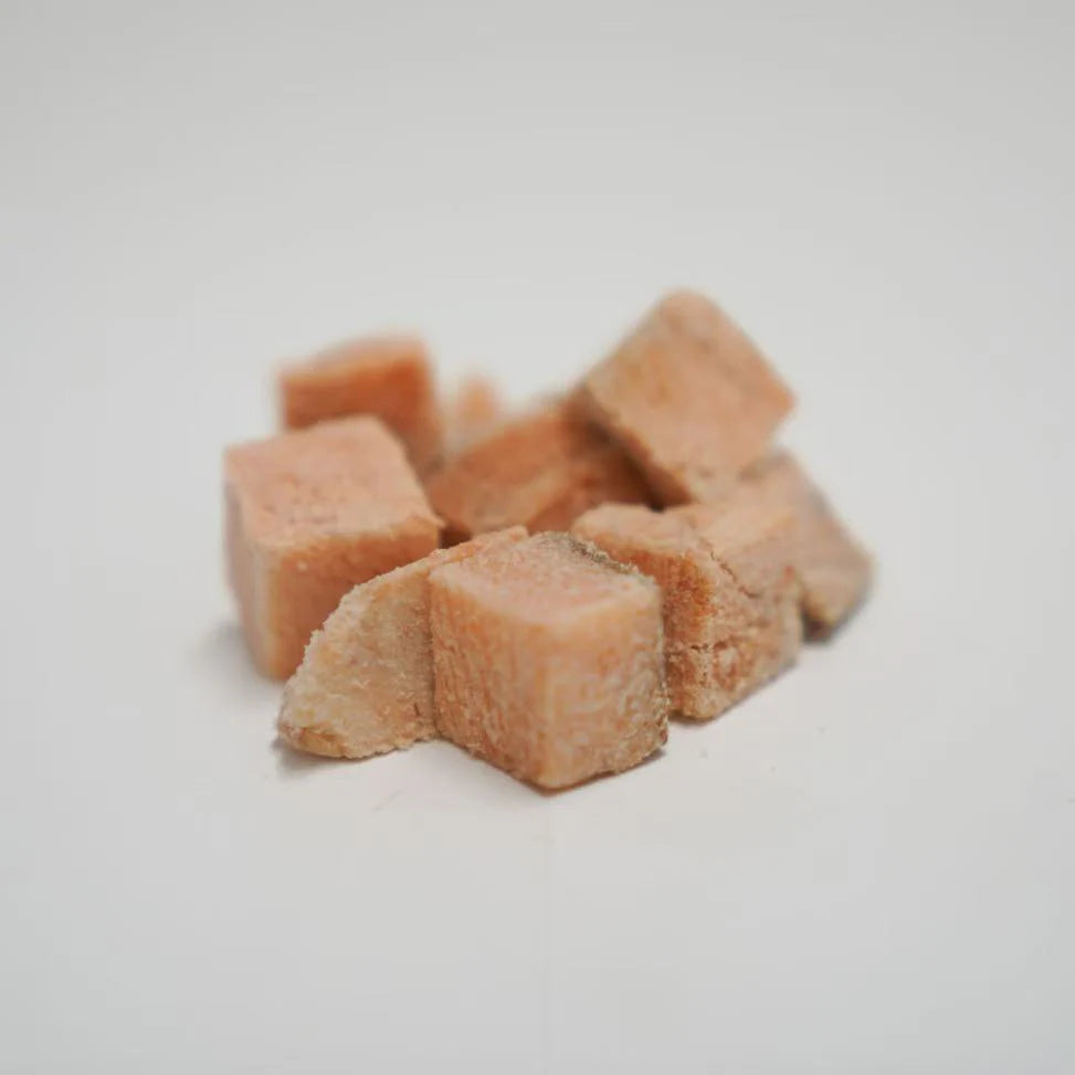A close-up of Rafa Raw freeze-dried Tasmanian salmon cubes. Showcasing the natural, flaky seafood texture of this single-ingredient, human-grade pet treat rich in Omega-3s.