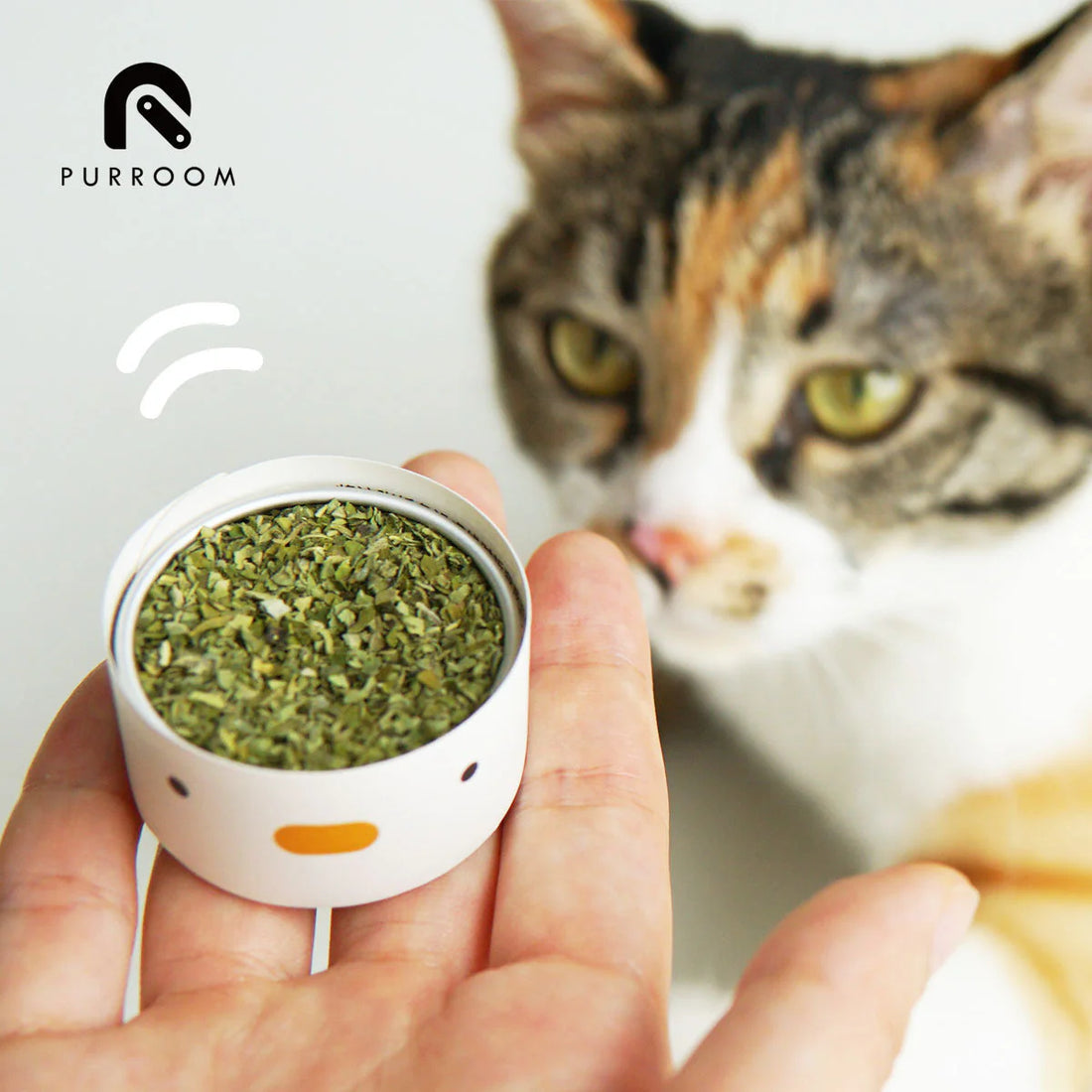 Small container of catnip held in a hand with a cat in the background, featuring the brand &