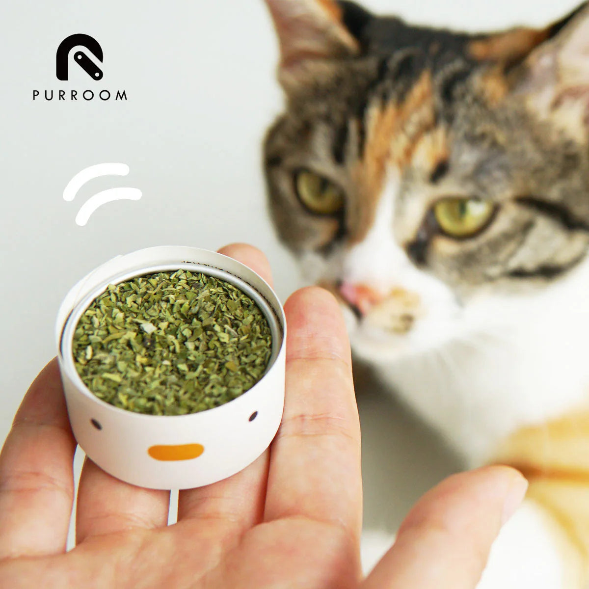 Small container of catnip held in a hand with a cat in the background, featuring the brand &