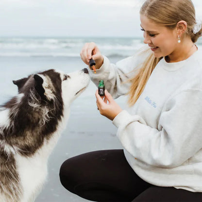 A smiling woman on a beach easily administering drops of Kōrure Pets Marine Phospholipid Oil from the dropper directly to her Husky dog.