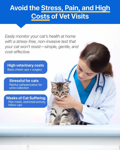 eterinarian examining a tabby cat, highlighting high clinic costs and stress avoided by early at-home urinary monitoring.