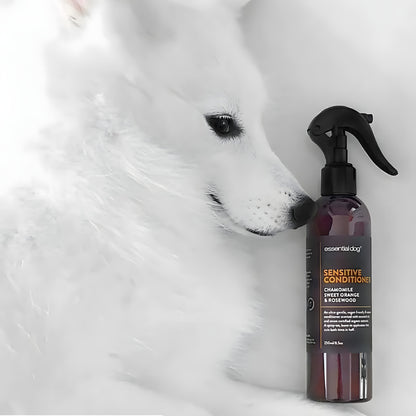 A fluffy white dog resting next to the Essential Dog conditioner spray. The formula provides &