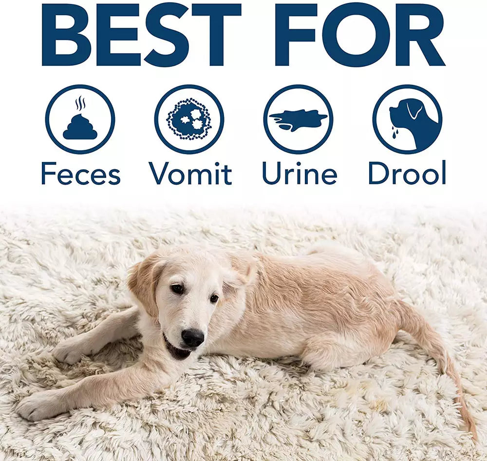 A Golden Retriever puppy resting on a white rug, with icons indicating the Simple Solution spray is best for removing dog feces, vomit, urine, and drool.