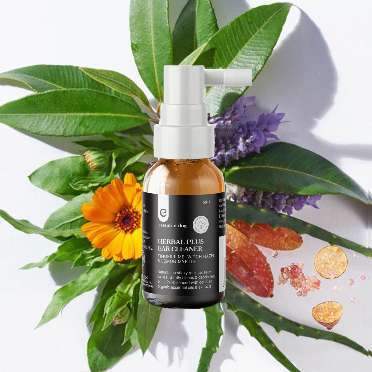 The Essential Dog Herbal Plus Ear Cleaner spray bottle placed aesthetically on a bed of its natural ingredients, including green leaves, a bright orange calendula flower, and citrus elements.