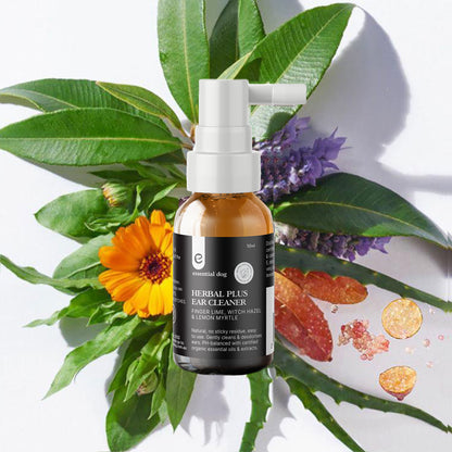 The Essential Dog Herbal Plus Ear Cleaner spray bottle placed aesthetically on a bed of its natural ingredients, including green leaves, a bright orange calendula flower, and citrus elements.