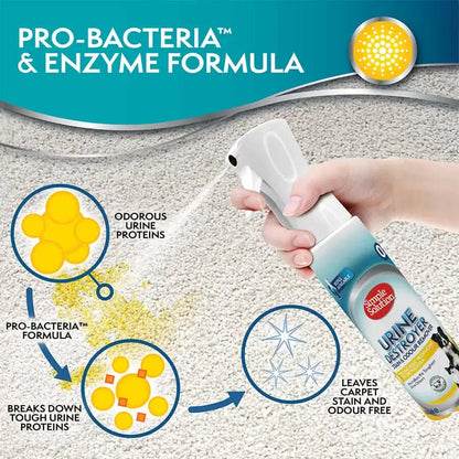 An infographic showing a hand spraying the continuous mist onto a carpet stain, illustrating how the Pro-Bacteria formula breaks down tough odorous urine proteins to leave the carpet stain and odour free.