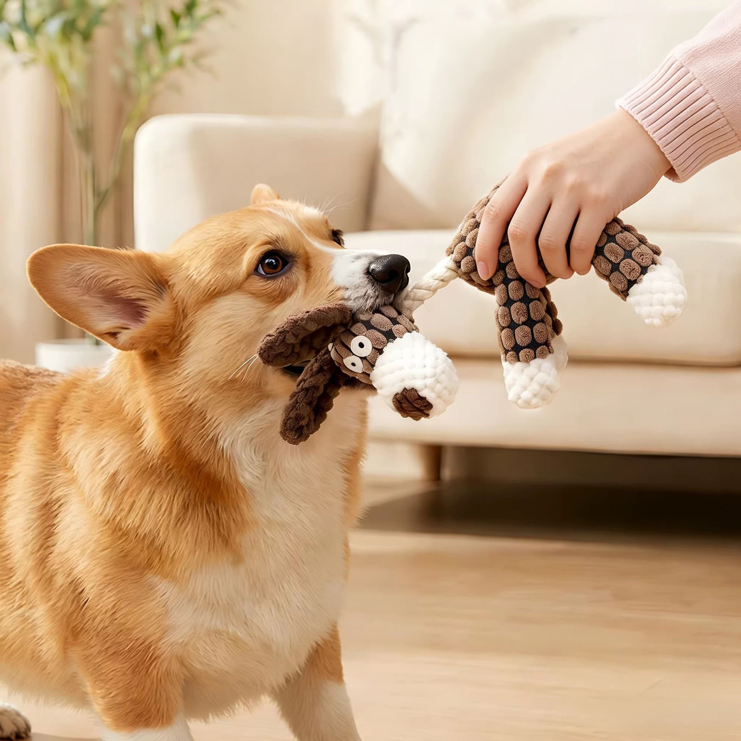 A Corgi playing a game of tug-of-war with its owner using the Bubble Farm plush dog toy. The durable cotton rope neck provides a safe grip for interactive play.