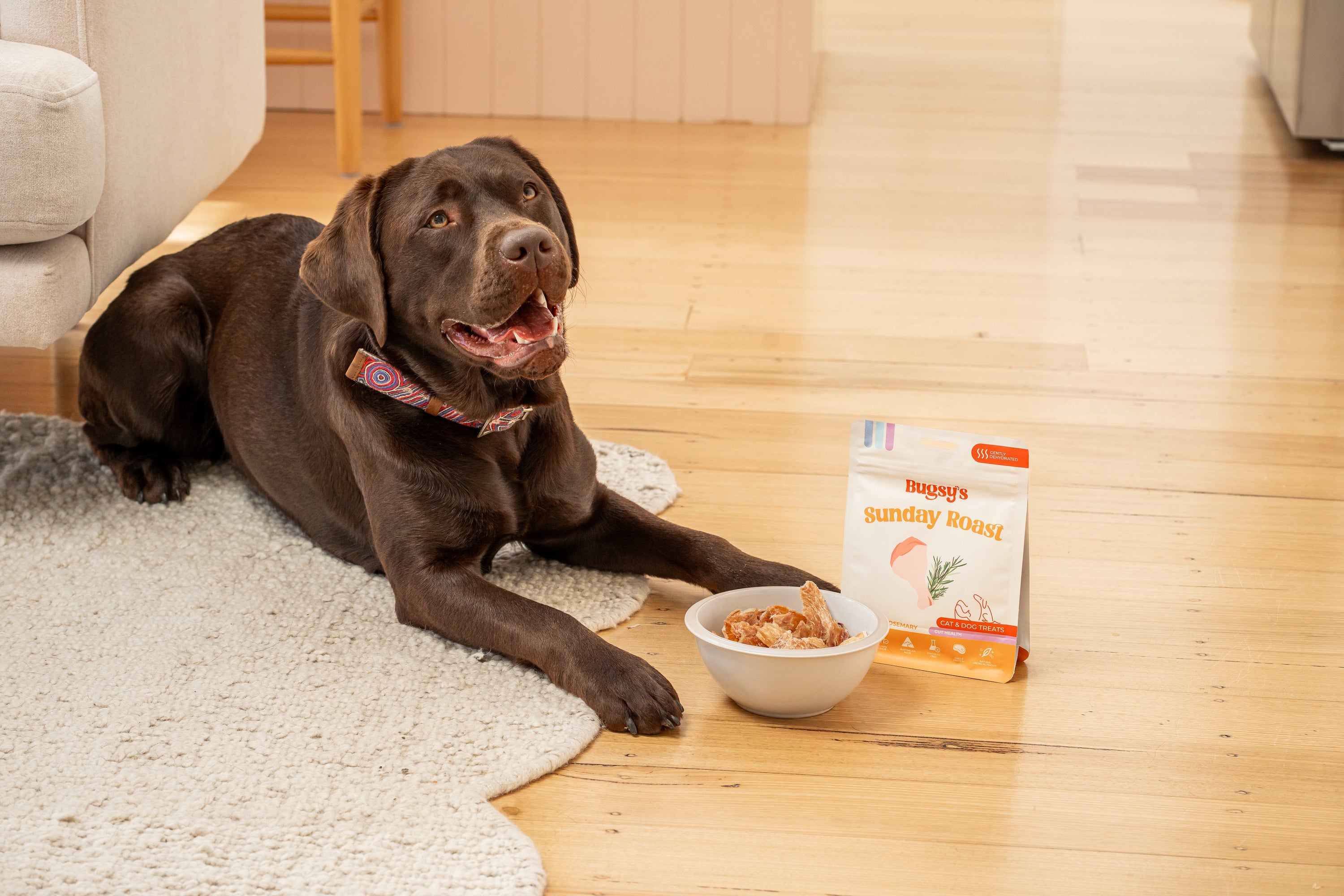A chocolate Labrador waiting patiently next to a bag and bowl of Bugsy&