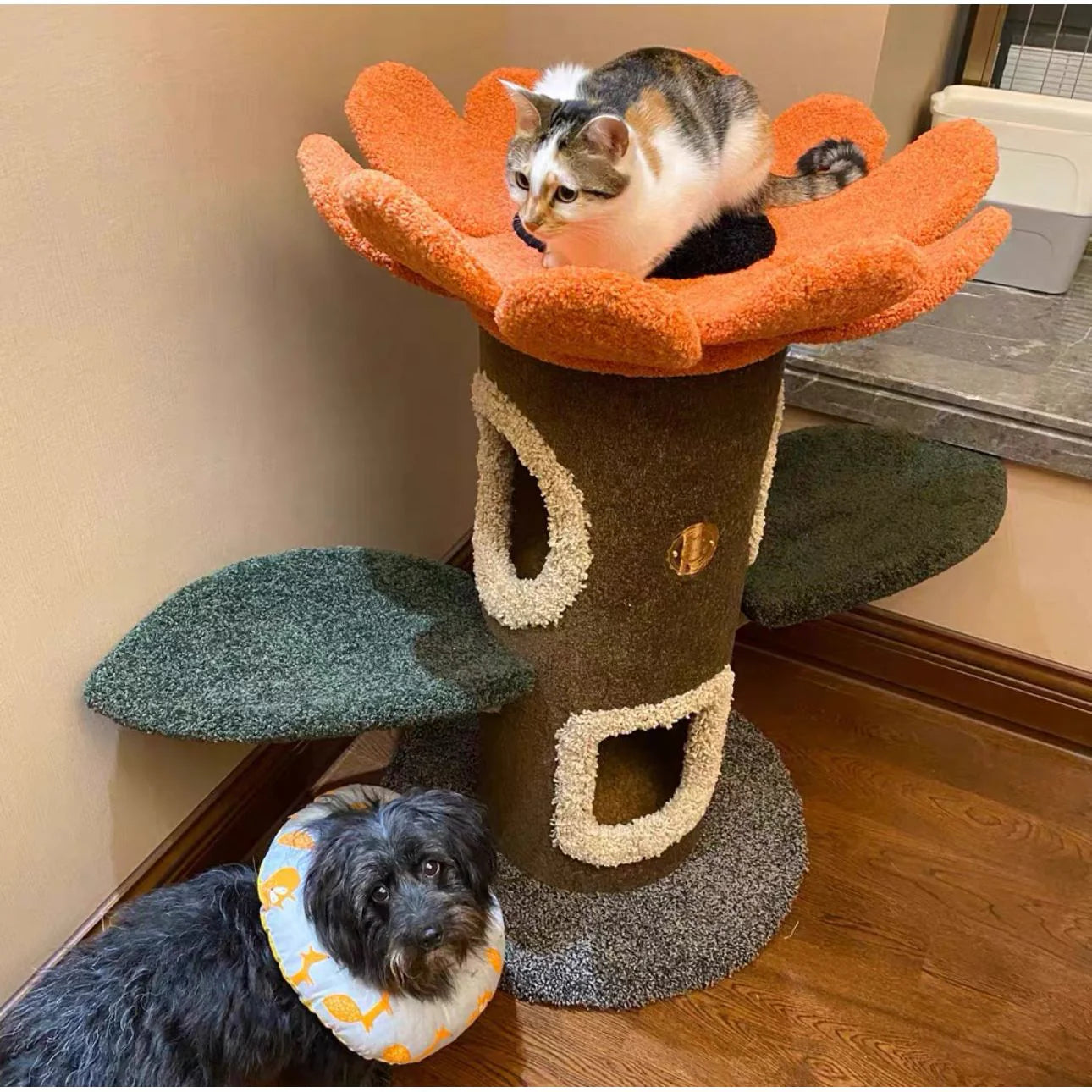 A calico cat resting comfortably on the top orange platform of the Camily Sunflower Cat Tree, while a small black dog sits peacefully by the sturdy base, showcasing a happy multi-pet household.