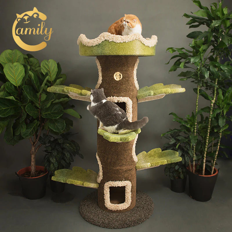 Two cats enjoying the 167cm tall Camily Big Tree Cat Climbing Tower in a lush indoor setting, with one cat climbing into a tree hollow and another lounging on the spacious top platform.