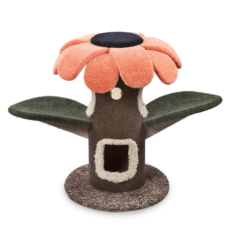 Orange Cat tree with flower-shaped top on a white background