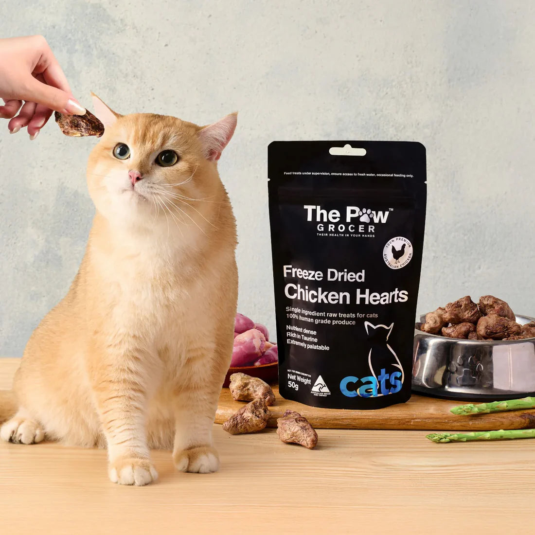 An adorable cat eagerly waiting for a high-value reward of The Paw Grocer Freeze-Dried Chicken Hearts, a functional and incredibly flavorful muscle meat treat displayed with fresh raw hearts.