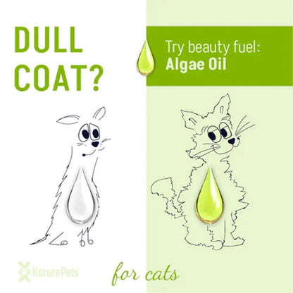 An illustration contrasting a sad cat with a dull coat against a happy cat fueled by Kōrure Algae Oil. Text reads "DULL COAT? Try beauty fuel: Algae Oil".