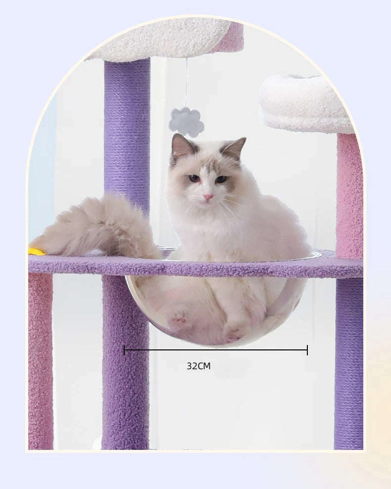 A Ragdoll cat sitting securely inside the highly popular 32cm clear acrylic resting bowl of the pastel cat tree, providing a perfect view of their paws.