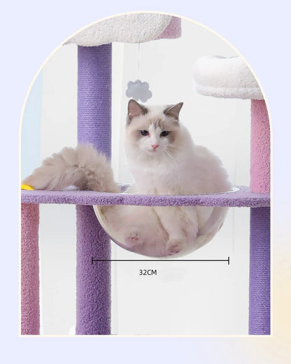 A Ragdoll cat sitting securely inside the highly popular 32cm clear acrylic resting bowl of the pastel cat tree, providing a perfect view of their paws.
