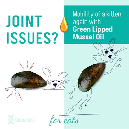 Infographic showing a stiff, pained cat transforming into a playful, jumping cat. Text asks &