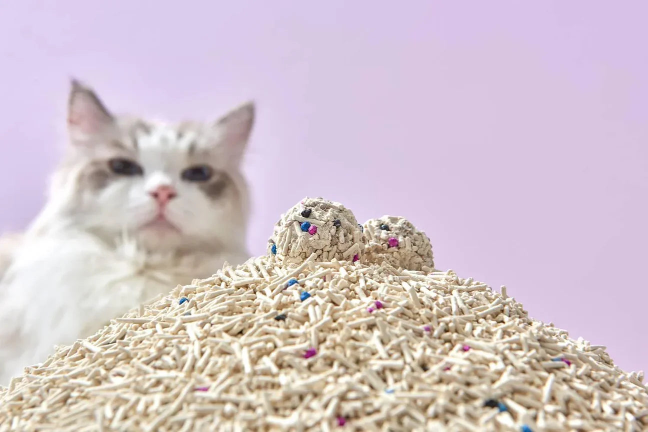 A fluffy cat looking at rock-solid clumps resting on a pile of Michu Super-Mixed Tofu Cat Litter Pro Gen2, showcasing its superior clumping power and dust-free texture.