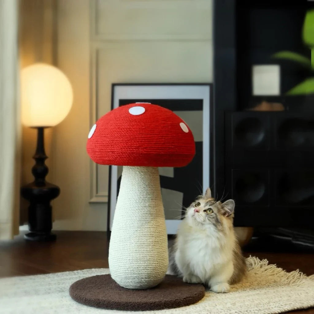 A beautiful cat sitting on the plush brown base, looking up at the whimsical red mushroom scratching post that acts as a magical decorative accent for the home.