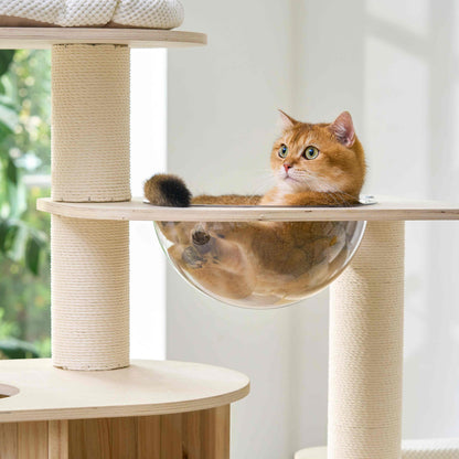 A ginger cat resting comfortably inside a clear acrylic transparent bowl capsule on the cat tree.