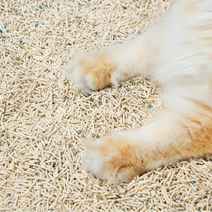 A close-up of fluffy cat paws comfortably digging into the Michu Mixed Tofu Cat Litter Lite, showcasing its cloud-like comfort that is perfect for sensitive paws, tiny kittens, and senior cats.