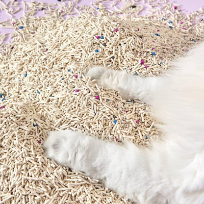 Close-up of fluffy white cat paws digging comfortably into Michu mixed tofu cat litter, demonstrating its soft, sand-like texture that prevents sinking and is ideal for senior cats.