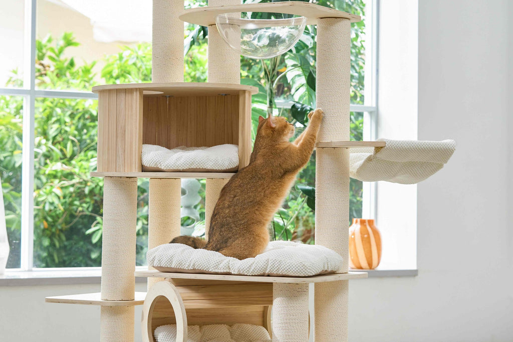 A playful cat reaching up towards the hanging toy inside the wooden cat condo.