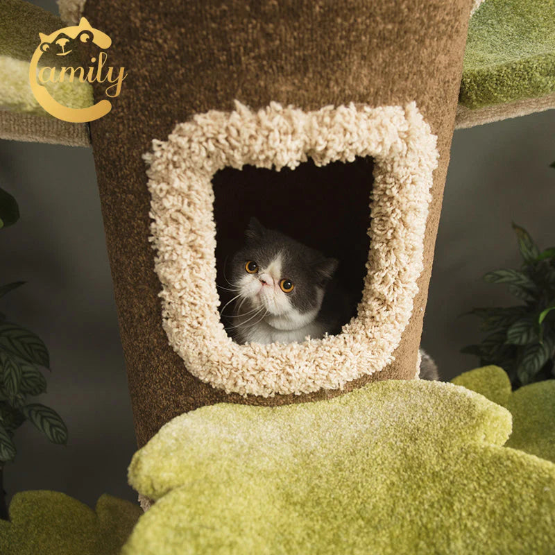 A close-up of a cute grey and white cat resting securely inside the hidden tree hollow of the Camily cat tower, highlighting the cozy, stress-free seclusion design.