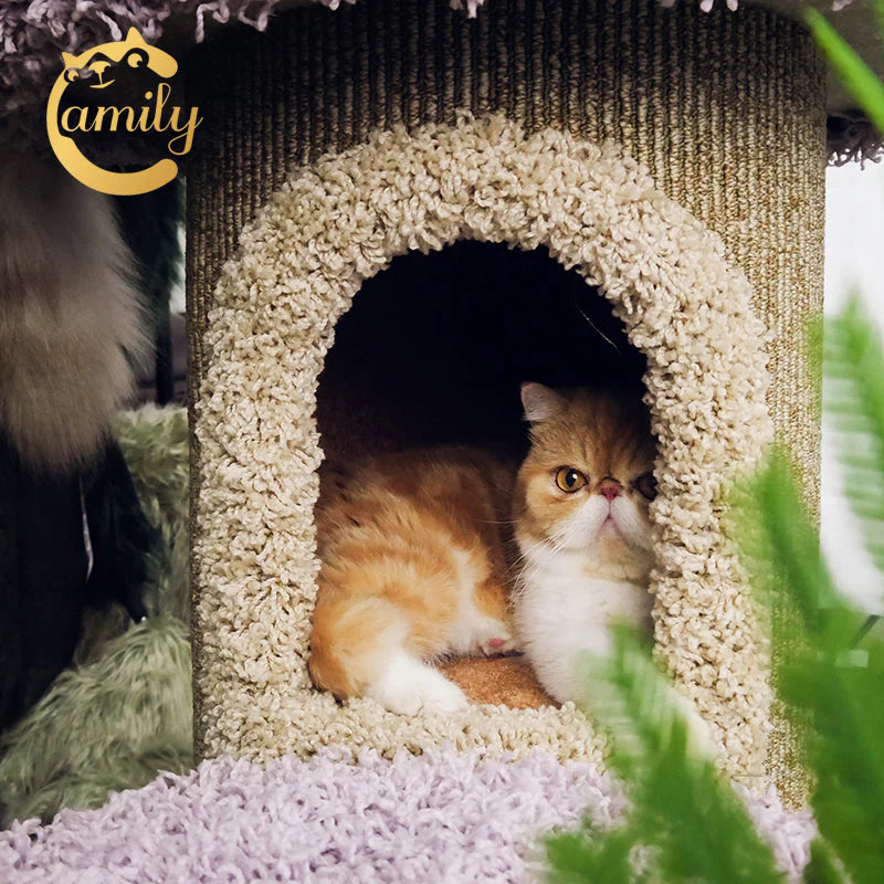 A close-up of a cute ginger and white cat resting securely inside the enclosed mushroom cap hideaway of the Camily cat tree, highlighting the soft nylon carpet interior.