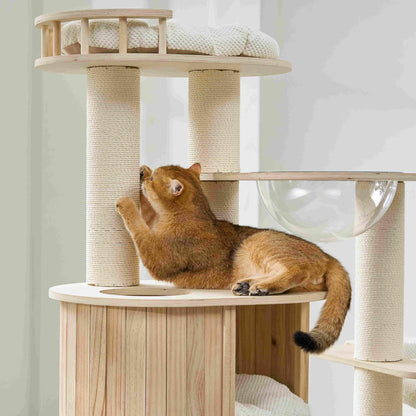 A ginger cat standing and stretching upwards beside the scratching post and lower condo.