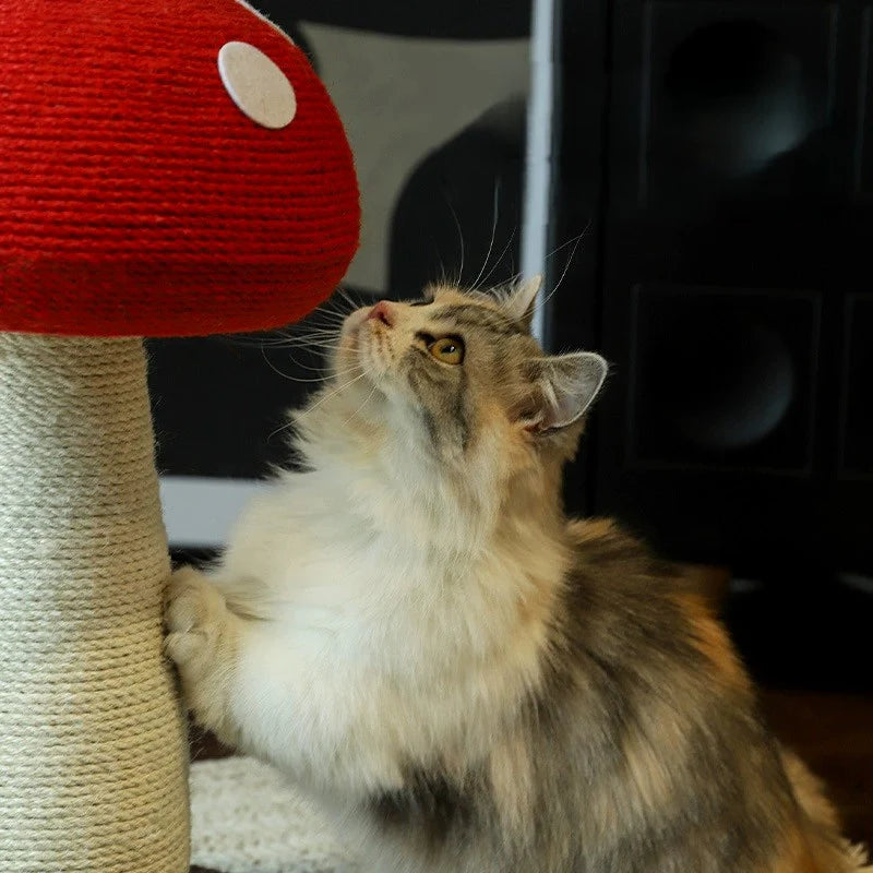 A cat getting a full, satisfying stretch while vigorously scratching the highly durable sisal rope stem of the red mushroom post, acting as the ultimate furniture saver.