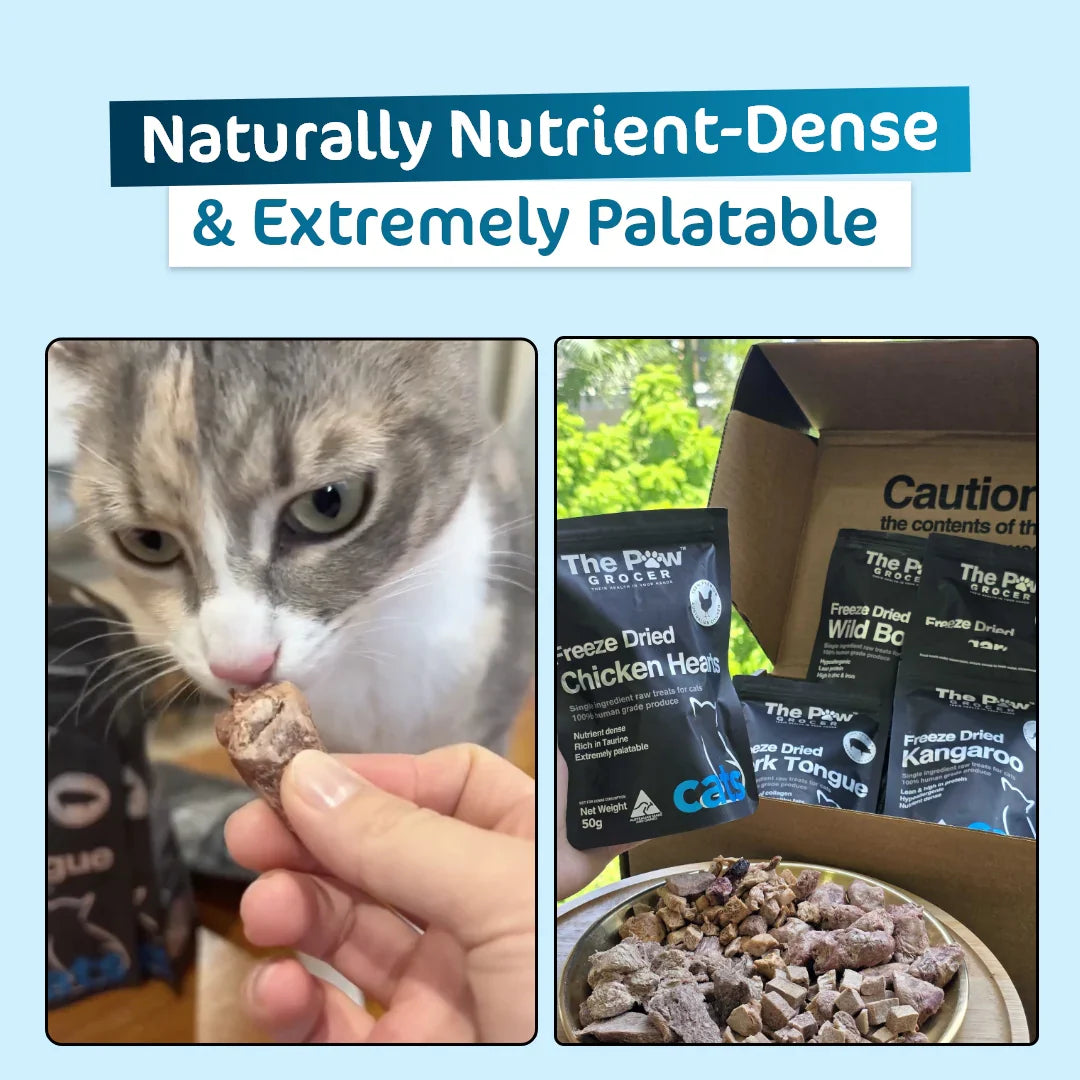 Infographic highlighting the essential taurine boost in chicken hearts, explaining its critical role in feline heart function, sharp vision, and overall daily vitality.