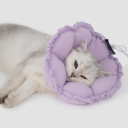 A silver shaded cat resting peacefully on the floor, using the purple HiDREAM soft flower recovery collar as a cozy neck pillow.