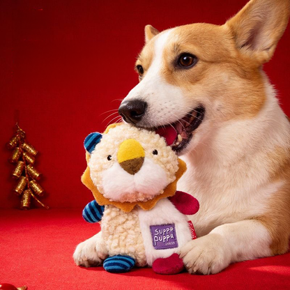 A happy Corgi dog resting against a vibrant red background and gently chewing on a plush lion crinkle toy, highlighting the comforting and engaging design for pets.