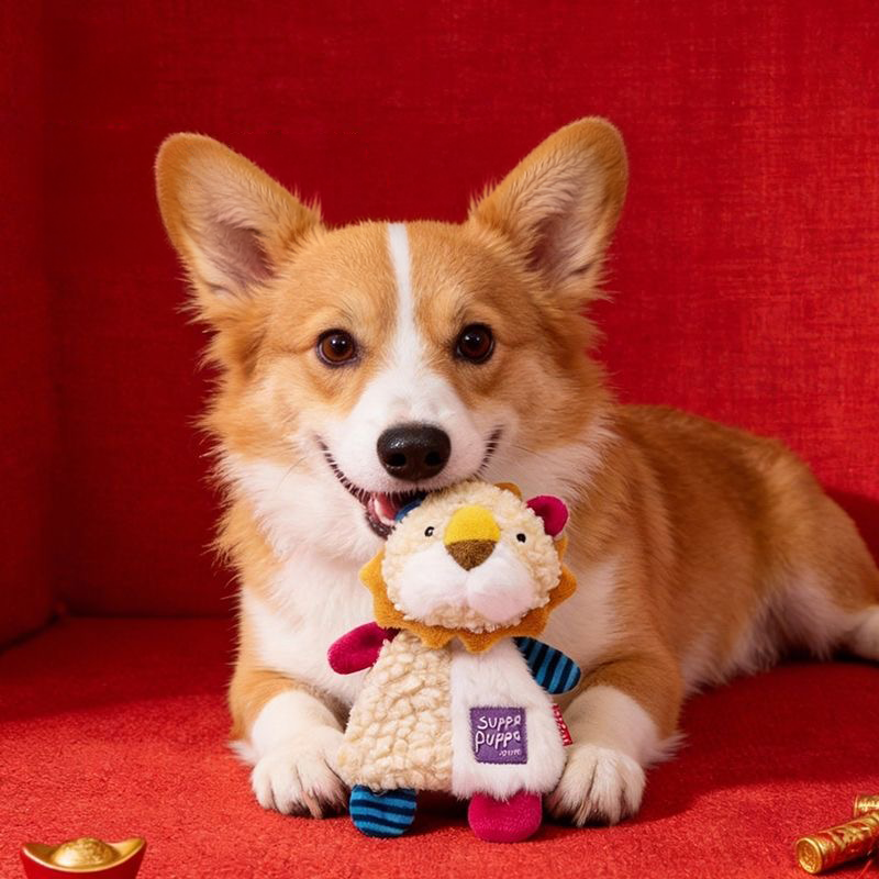 A close-up of an adorable Corgi looking directly at the camera while comfortably holding the color-blocked plush lion squeaky toy in its mouth.