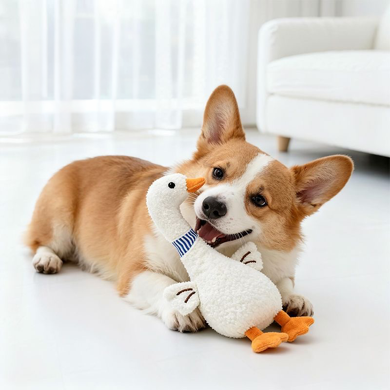 A happy Corgi lying on the floor, affectionately holding the long neck of the Leggy Goose plush dog toy in its mouth, showcasing its soft and bite-resistant design.