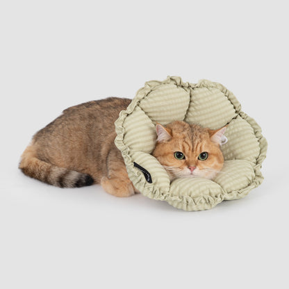 A golden British Shorthair cat resting peacefully on the floor, using the green gingham HiDREAM soft recovery collar as a comfortable neck pillow.