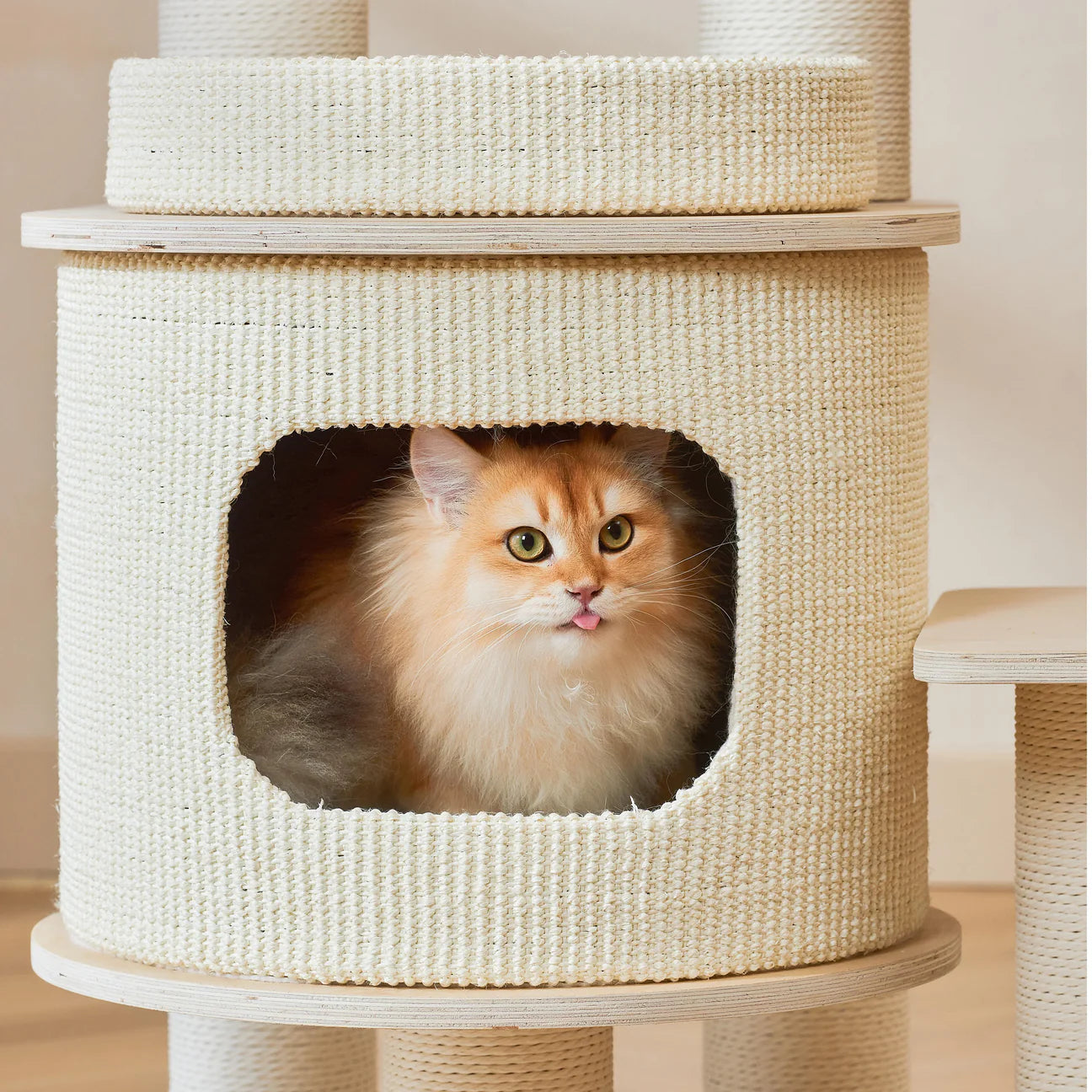 A cute golden cat sticking its tongue out (blep) from inside the cozy enclosed nest of the Michu Luna wooden cat tree. A secure hideaway for feline comfort.