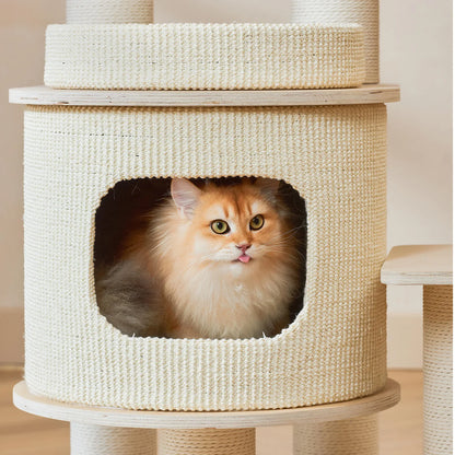 A cute golden cat sticking its tongue out (blep) from inside the cozy enclosed nest of the Michu Luna wooden cat tree. A secure hideaway for feline comfort.