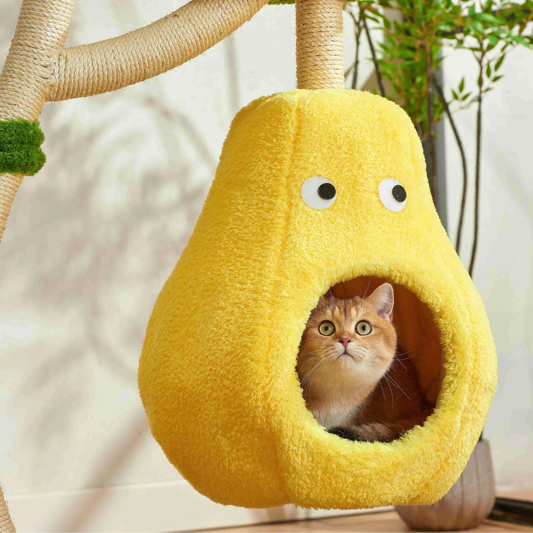 A golden British Shorthair cat resting comfortably inside the whimsical, yellow pear-shaped nest of the Michu Verde cat tree. A secure and soft plush hideaway for napping.