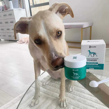 A tan dog sitting next to Kōrure Pets Marine Phospholipid Powder and its box. A high-strength New Zealand Green Lipped Mussel supplement for dog joint recovery.