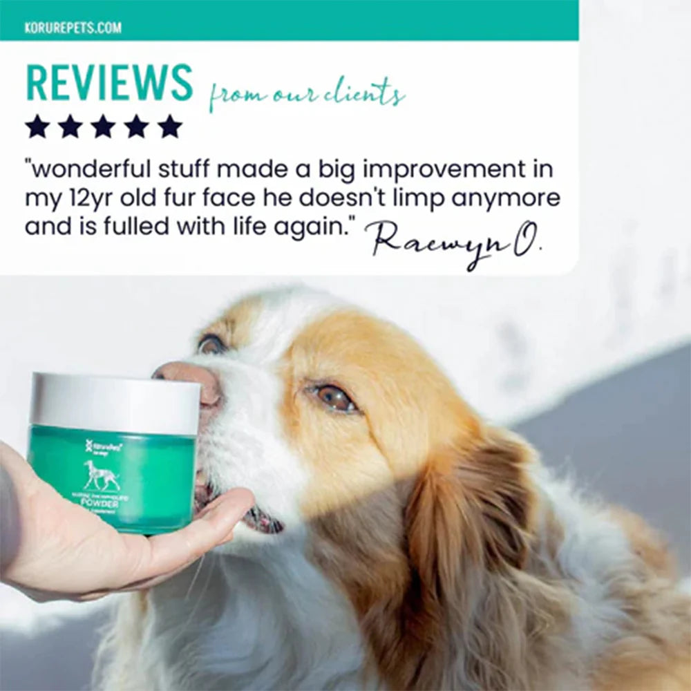 A fluffy dog sniffing Kōrure Pets joint powder. Features a 5-star customer review stating it made a big improvement in a 12-year-old dog that no longer limps.