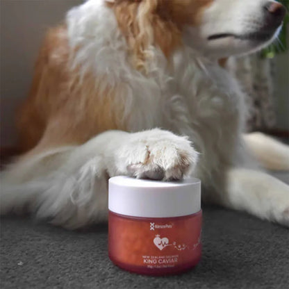 A fluffy dog resting its paw protectively over a red jar of Kōrure Pets New Zealand Salmon King Caviar. A high-value, nutrient-dense superfood for dogs.