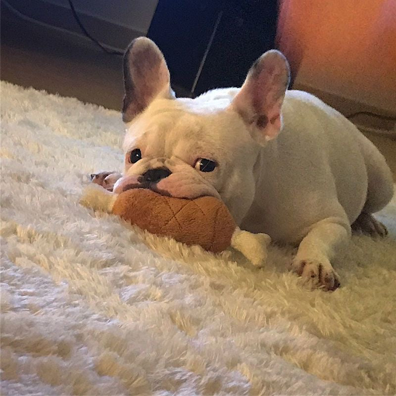 A French Bulldog lying on a white shaggy rug, playfully biting the plush chicken leg toy, highlighting the soft, bite-friendly fabric.