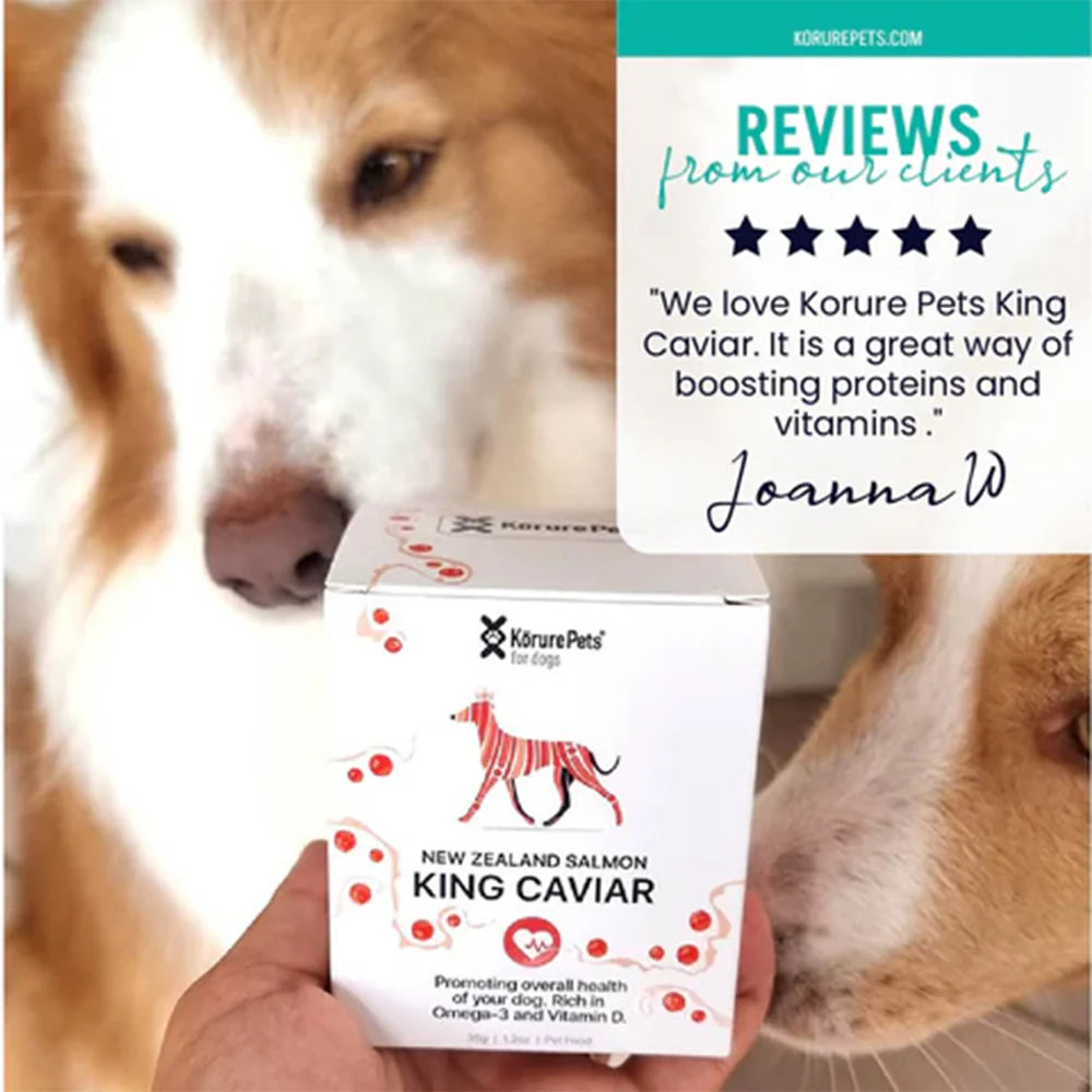 A dog curiously sniffing the Kōrure Pets King Caviar box, accompanied by a 5-star customer review praising it as a great way to boost proteins and vitamins naturally.