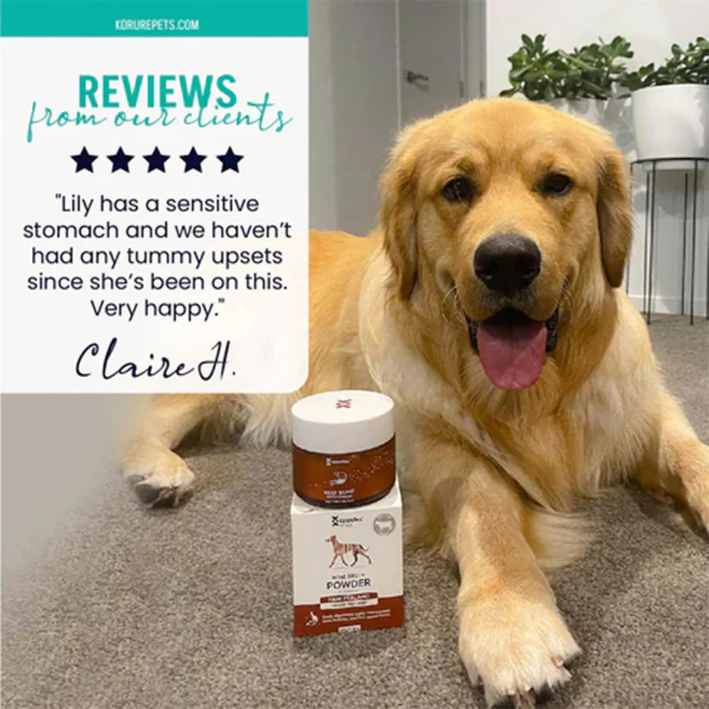 A smiling Golden Retriever sitting with Kōrure Pets Beef Bone Broth. Includes a 5-star review from an owner stating it cured their dog&