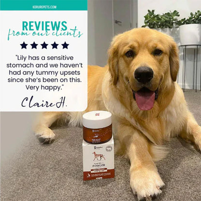 A smiling Golden Retriever sitting with Kōrure Pets Beef Bone Broth. Includes a 5-star review from an owner stating it cured their dog&