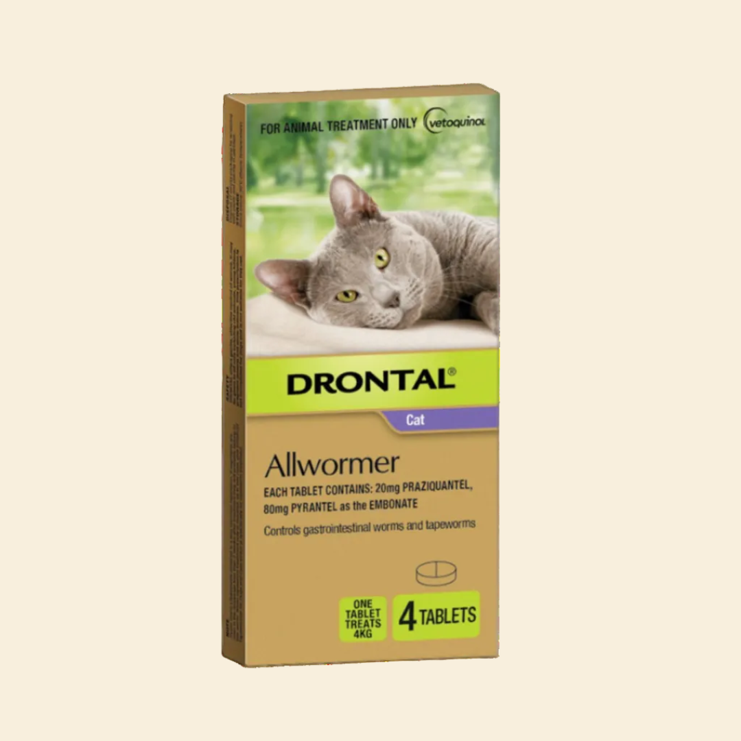 Drontal Cat Allwormer 4-tablet pack for roundworm, hookworm and tapeworm control, with one tablet treating up to 4kg