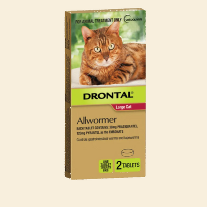 Front of Drontal Large Cat Allwormer 2-tablet pack for controlling roundworms, hookworms and tapeworms in cats up to 6kg
